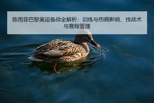 陈雨菲巴黎奥运备战全解析：训练与伤病影响、技战术与赛程管理
